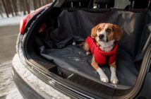 Ferienwohnung mit Hund: Tipps für einen großartigen Urlaub (Foto: shutterstock.com / Viktoriia Bu)