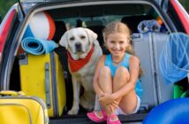 Hundeurlaub: So wird die Reise zu einem unvergesslichen Erlebnis (Foto: shutterstock.com / gorillaimages)