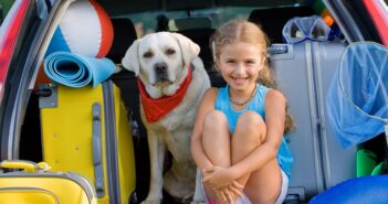 Hundeurlaub: So wird die Reise zu einem unvergesslichen Erlebnis (Foto: shutterstock.com / gorillaimages)