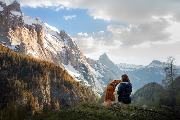 Auch in den Bergen gibt es viel zu Erledben. (Foto: shutterstock.com / dezy)