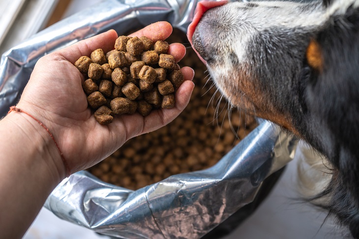 Ein gutes Trockenfutter zu erkennen ist nicht immer einfach. (Foto: shutterstock.com / zkolra)