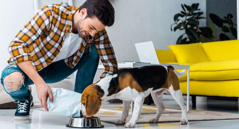 Die optimale Futtermenge hängt unter anderem vom Energiebedarf des Hundes, der wiederum durch das Alter, Geschlecht und die Aktivität des Tieres bestimmt wird, ab. ( Foto: Shutterstock -  LightField Studios )