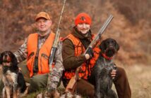 Bereit zur Jagd: Tipps für die Jagdsaison mit Hund ( Fotolizenz -Shotterstock: _Serova_Ekaterina )