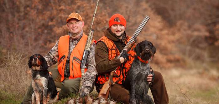 Bereit zur Jagd: Tipps für die Jagdsaison mit Hund ( Fotolizenz -Shotterstock: _Serova_Ekaterina )