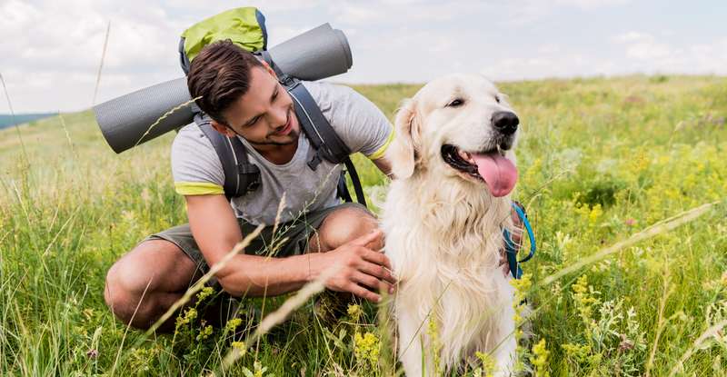 Heutzutage können Hundebesitzer eine zusätzliche Krankenversicherung abschließen, das hängt aber vom Urlaubsland, der Konstitution und dem allgemeinen Gesundheitszustand des Hundes ab. ( Foto: Shutterstock LightField Studios )