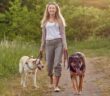 Mit Hunden Gassi gehen: Tipps und Tricks für entspannte Spaziergänge ( Foto: Adobe Stock - Lars Zahner )