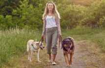 Mit Hunden Gassi gehen: Tipps und Tricks für entspannte Spaziergänge ( Foto: Adobe Stock - Lars Zahner )