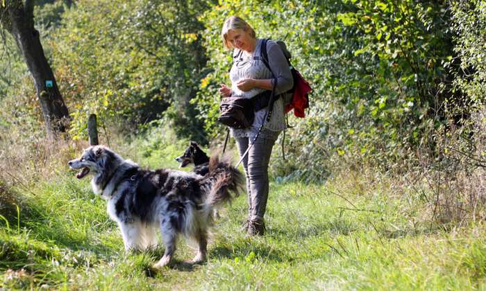 Jeder Hundehalter muss dafür sorgen, dass es seinem vierbeinigen Liebling gut geht. ( Foto: Adobe Stock - K.- P. Adler )