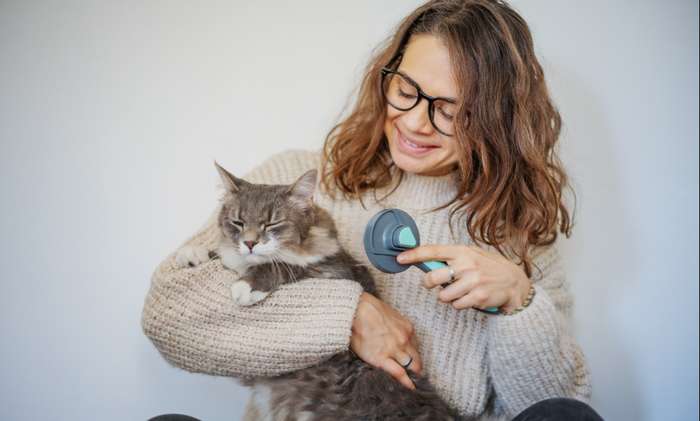 Die Katze hat Schuppen im Fell während der Fellwechsel stattfindet. ( Foto: Shutterstock - Olesya Kuznetsova )