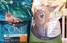 Purina ONE im Katzenfutter-Test 2022: Vergleich mit PLATINUM MeatCrisp (Foto: Sabrina Müller)