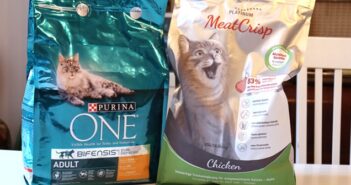 Purina ONE im Katzenfutter-Test 2022: Vergleich mit PLATINUM MeatCrisp (Foto: Leonie Priess)