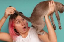 Eine Entwurmung mit Milprazon Katze verhindert Gesundheitsschäden ( Foto: Shutterstock - Stanislaw Mikulski )