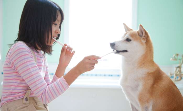 Für das Zähne Putzen beim Hund wird eine spezielle Zahnpasta benötigt. ( Foto: Adobe Stock - aceshot) 
