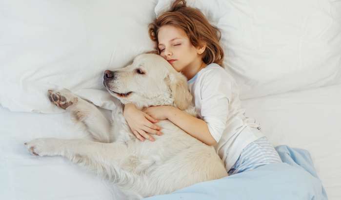 Mit Herrchen oder Frauchen schlafen Hunde am liebsten ( Foto: Adobe Stock - Natalia Chircova_)
