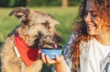 Hunde zum Trinken bringen ist mit Tricks möglich ( Foto: Adobe Stock - olezzo)