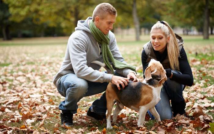 Hunde wecken mit ihren großen, runden Augen und dem weichen Fell in den Menschen fast immer den Wunsch, sie anzufassen und zu streicheln.(Foto: Adobe Stock- nyul)