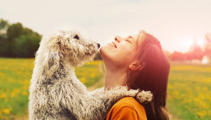 Sie sind treu, liebevoll und immer zur Stelle, wenn man sie braucht – unsere Hunde. (Foto: Adobe Stock-zakalinka)