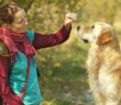 Belohnungen für den Hund: Manchmal müssen es Leckerli sein ( Foto: Adobe Stock- Robert Emprechtinger_)