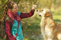 Belohnungen für den Hund: Manchmal müssen es Leckerli sein ( Foto: Adobe Stock- Robert Emprechtinger_)