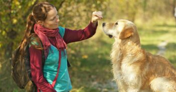 Belohnungen für den Hund: Manchmal müssen es Leckerli sein ( Foto: Adobe Stock- Robert Emprechtinger_)