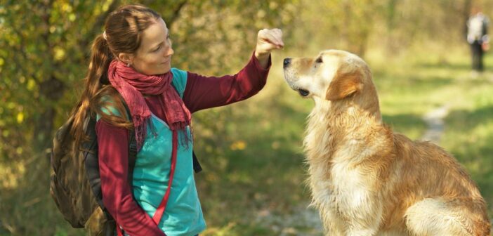 Belohnungen für den Hund: Manchmal müssen es Leckerli sein ( Foto: Adobe Stock- Robert Emprechtinger_)