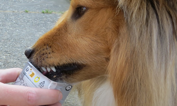 Cap leckt die Packung aus (Foto: schwarzer.de)