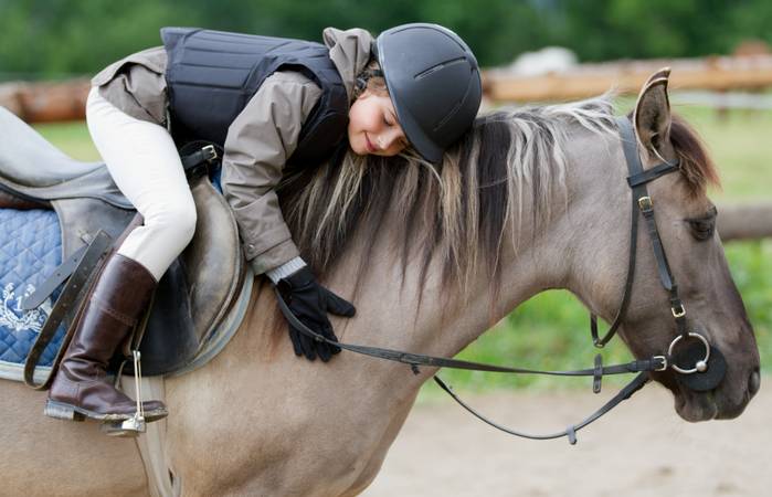 Reiten und die Verbundenheit mit diesen majestätischen Tieren üben eine beispiellose Faszination aus. (Foto: AdobeStock - 50123119  Gorilla) 