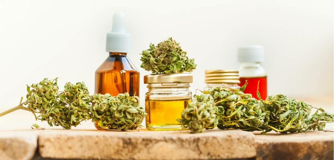 CBD für Pferde: So kann die Pflanze den geliebten Vierbeinern helfen (Foto: AdobeStock - 180446363 Elroi)