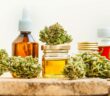 CBD für Pferde: So kann die Pflanze den geliebten Vierbeinern helfen (Foto: AdobeStock - 180446363 Elroi)