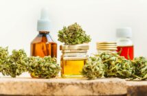 CBD für Pferde: So kann die Pflanze den geliebten Vierbeinern helfen (Foto: AdobeStock - 180446363 Elroi)