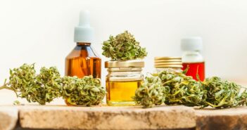 CBD für Pferde: So kann die Pflanze den geliebten Vierbeinern helfen (Foto: AdobeStock - 180446363 Elroi)