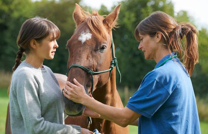Es wird empfohlen, Ihren Tierarzt zu konsultieren, bevor Sie Hanföl als Futterzusatz an Pferde verabreichen, auch wenn es als sicher gilt. (Foto: AdobeStock - 96251720 highwaystarz)