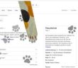 Weltkatzentag: Google's Easter-Egg feiert mit (Foto: Google)