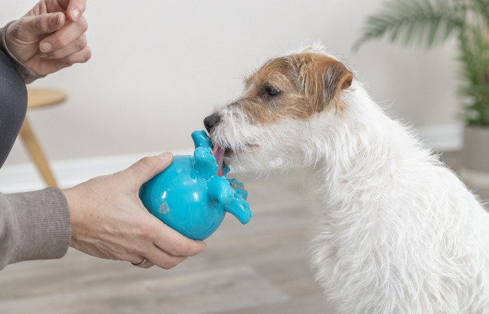 Dieser Ball garantiert extralanges Spielvergnügen. (Foto: TRIXIE)