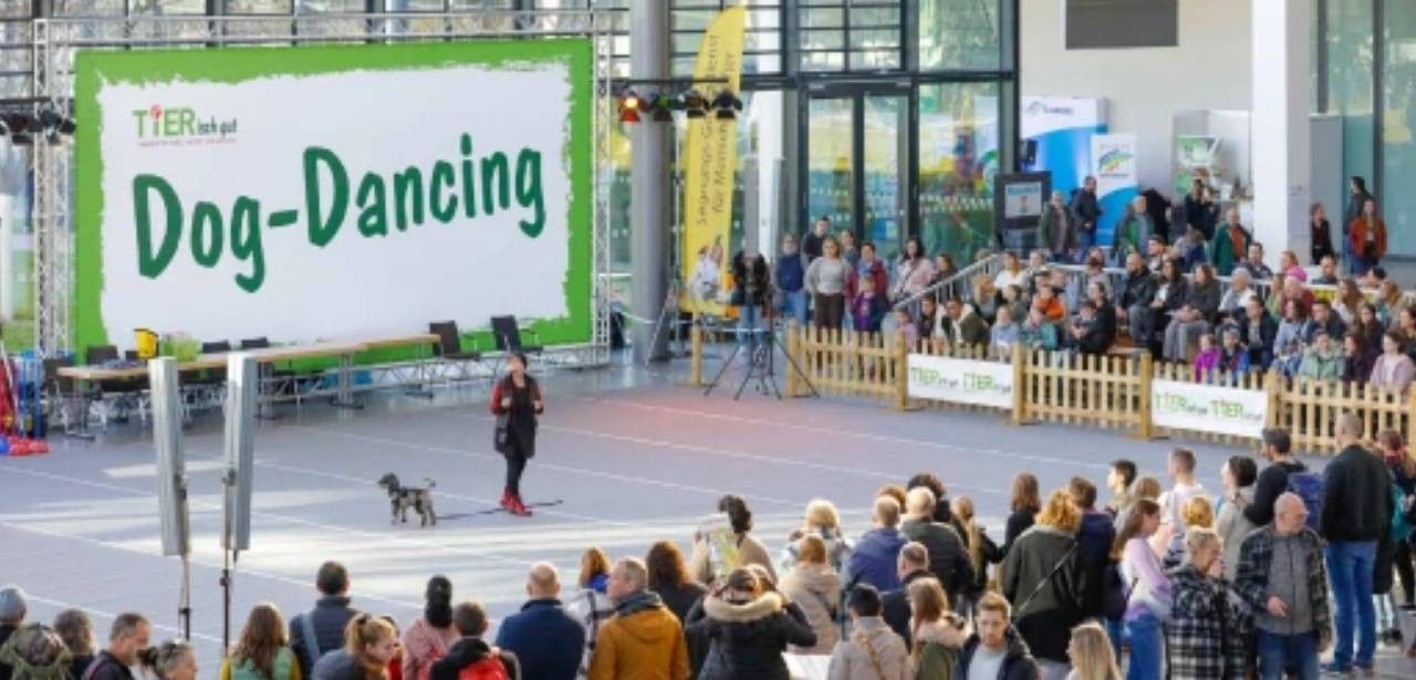 Rassehunde-Ausstellung in Karlsruhe: 5.000 Hunde aus 250 (Foto: Karlsruher Messe- und Kongress-GmbH (KMK))