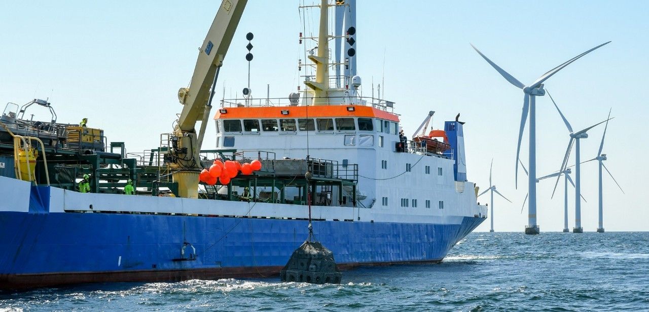 RWE-Pilotstudie: Künstliche Riffe fördern Biodiversität in (Foto: RWE.)