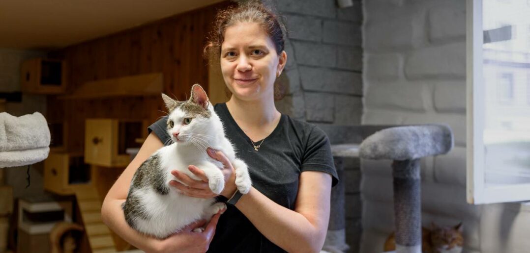 Tierheim Biberach: Mit Herz und Einsatz für unsere Tiere (Foto: AdobeStock - 457278242 molenira)