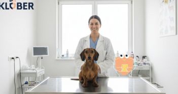 Steigende Tierarztkosten belasten Hundebesitzer - Hundekrankenversicherung schützt vor finanziellen (Foto: KI-generiert via deevid.ai)