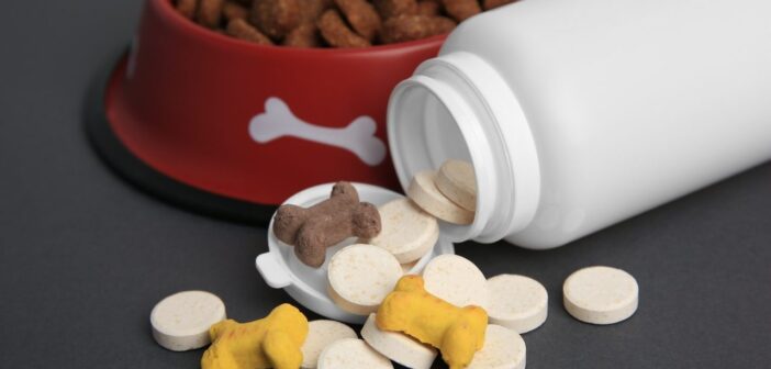 Tierapotheke für Hund & Katze: Deine Checkliste für den Notfall (Foto: AdobeStock_636813862 New Africa)