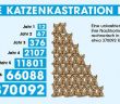 Landkreis Günzburg führt verbindliche Katzenschutzverordnung ab September 2026 (Foto: PETA)
