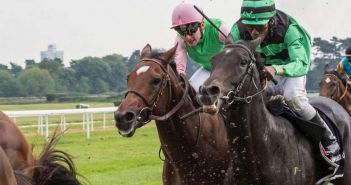 Tierschutzbund kritisiert Galopprennsport 2025 wegen massivem Peitscheneinsatz und (Foto: Deutscher Tierschutzbund e.V.)