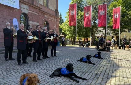 Charity Working Test Schloss Platte zeigt Assistenzhunde im (Foto: Laura Anthes)