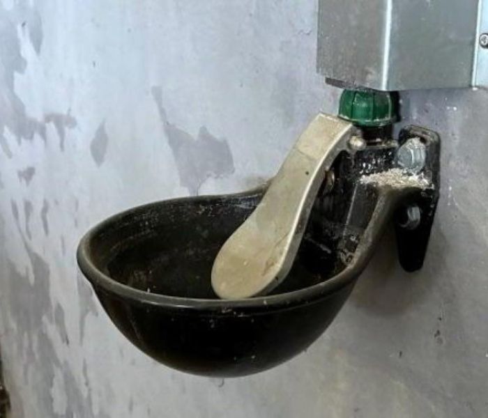 Pferdetränke: Ein Stoß mit dem Maul gegen die Platte (oben) öffnet (Foto: Grünbeck AG)