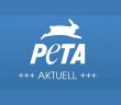 PETA dokumentiert brutale Gerteeinsätze von Alessandra Reich bei (Foto: PETA Deutschland e.V.)