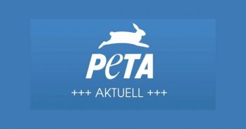 PETA dokumentiert brutale Gerteeinsätze von Alessandra Reich bei (Foto: PETA Deutschland e.V.)