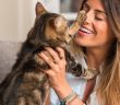 Positive Verstärkung statt Strafe: Katzenverhalten effektiv mit Lob (Foto: AdobeStock - Krakenimages.com - 215390572)