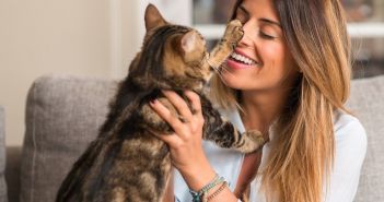 Positive Verstärkung statt Strafe: Katzenverhalten effektiv mit Lob (Foto: AdobeStock - Krakenimages.com - 215390572)