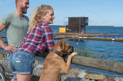 Hundefreundliches Lausitzer Seenland bietet Strand, Kultur und familiengerechten (Foto: Tourismusverband Lausitzer Seenland, Nada Quenzel)