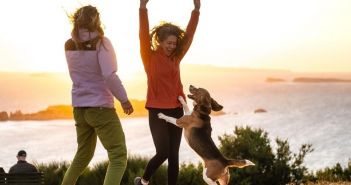 Wanderreisen mit Hund: 36 Routen, hundefreundliche Hotels und (Foto: Wikinger Reisen)